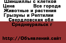 Шиншиллы с клеткой › Цена ­ 8 000 - Все города Животные и растения » Грызуны и Рептилии   . Свердловская обл.,Среднеуральск г.